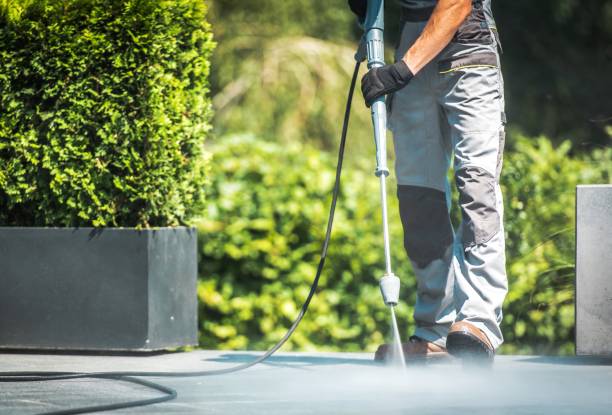 Best Gutter Cleaning and Brightening in Bystrom, CA